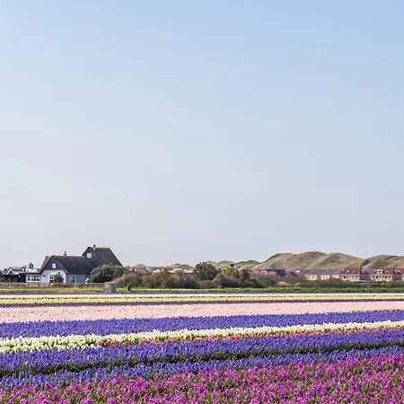 17 - Aan De Duinen, Aan Zee *