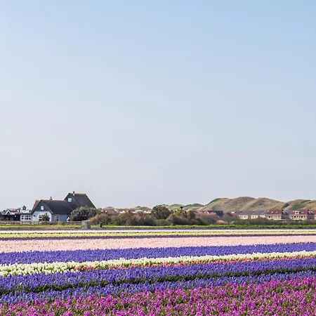17 - Aan De Duinen, Aan Zee