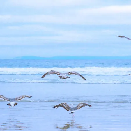 17 - Aan De Duinen, Aan Zee