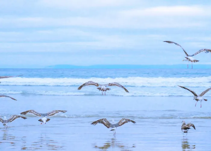 17 - Aan De Duinen, Aan Zee